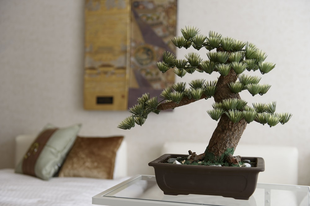 金沢リブレ芳斉 小松