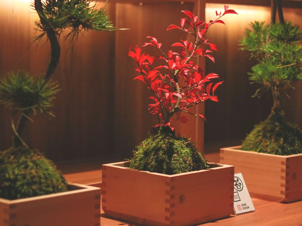 あわづ温泉喜多八 小松