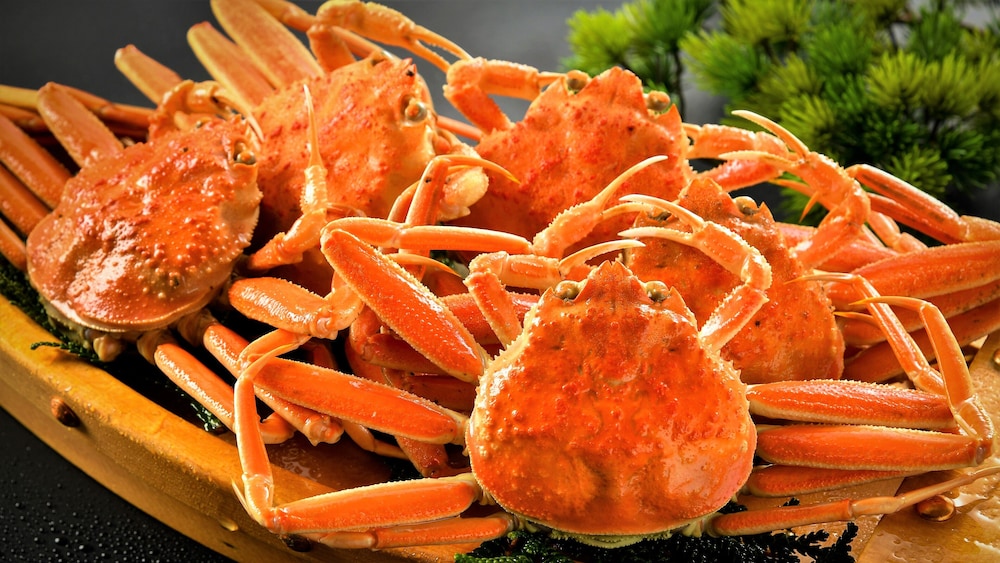 あわづ温泉喜多八 小松