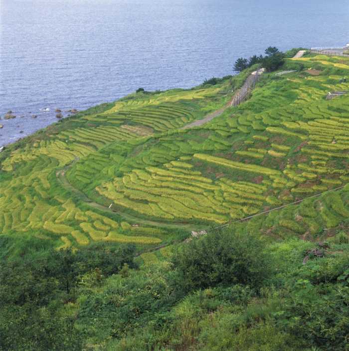 休暇村能登千里浜 小松