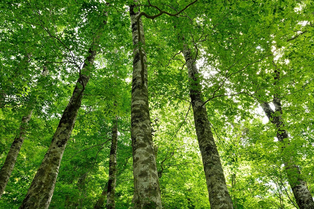 ゲストハウス ユニラ 小松