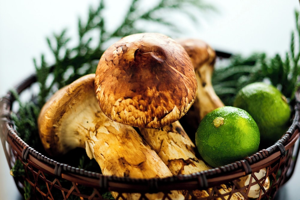 金澤湯涌温泉 百楽荘 小松