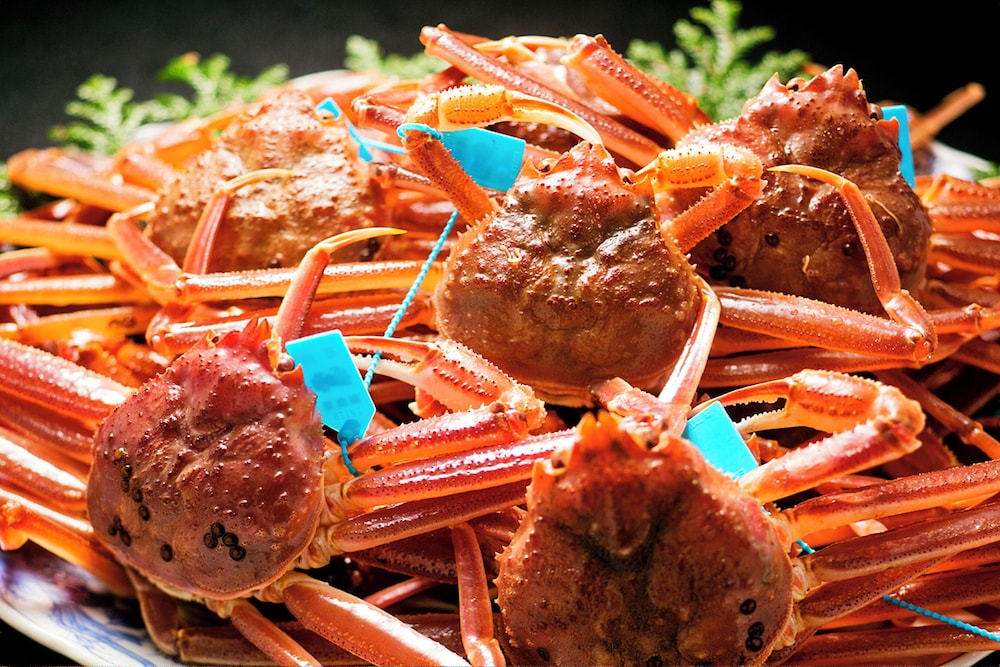 金澤湯涌温泉 百楽荘 小松