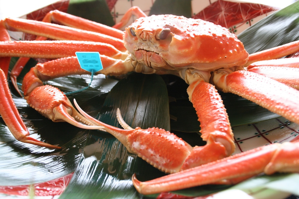 みやこわすれの宿 こおろぎ楼 小松