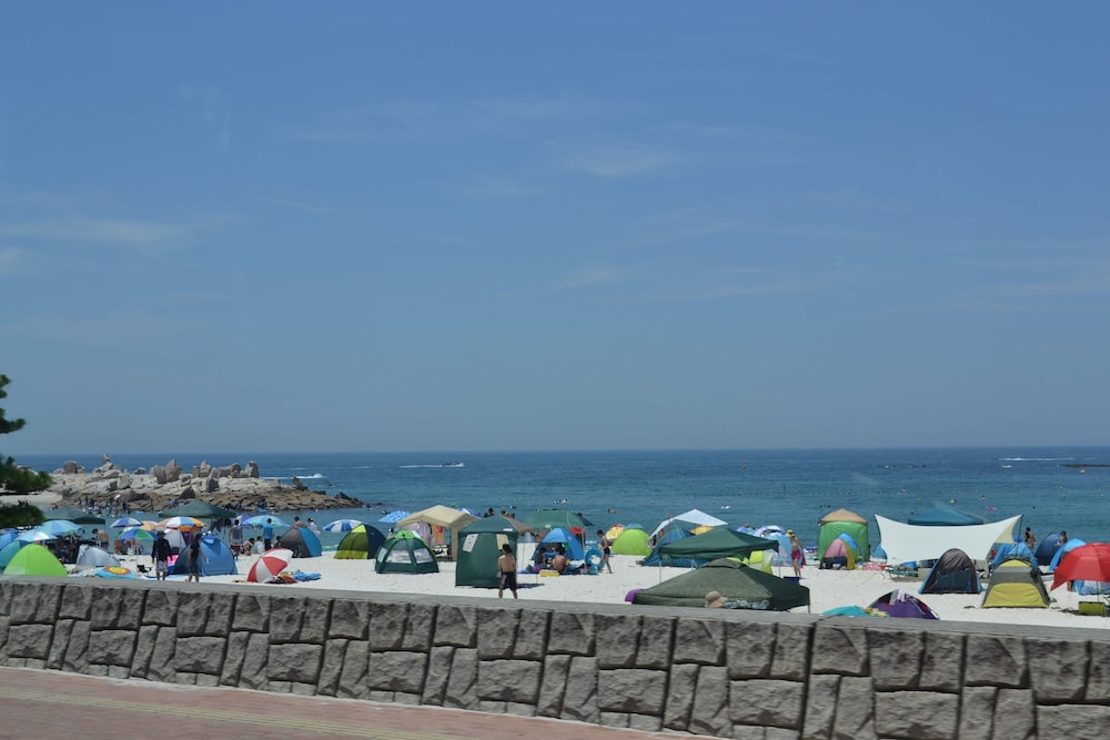 グランパスSEA 南紀白浜