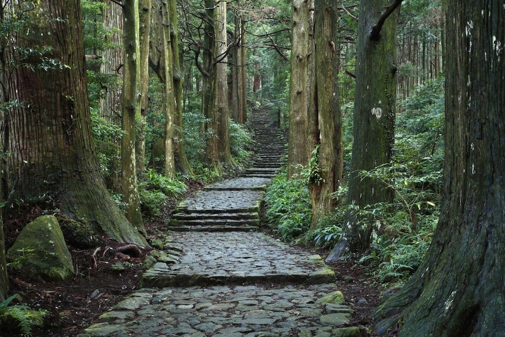 ゲストハウス TAKAO 南紀白浜
