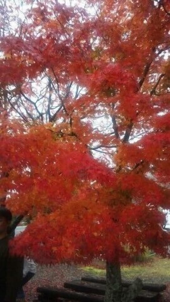 農家民泊 未来農園 南紀白浜
