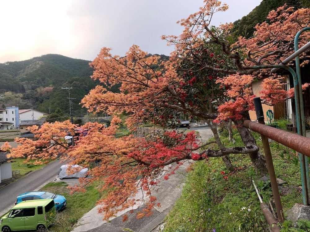 GUEST HOUSE 熊野野菜 南紀白浜