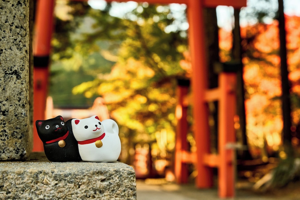 山荘 天の里 南紀白浜