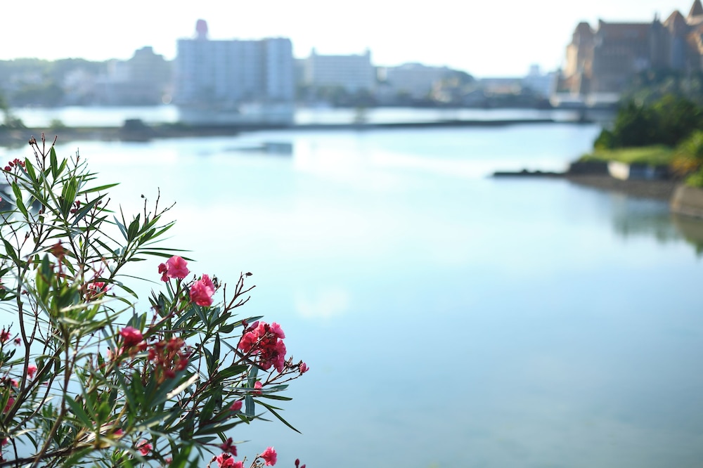 白浜・温泉リゾート海岳 南紀白浜