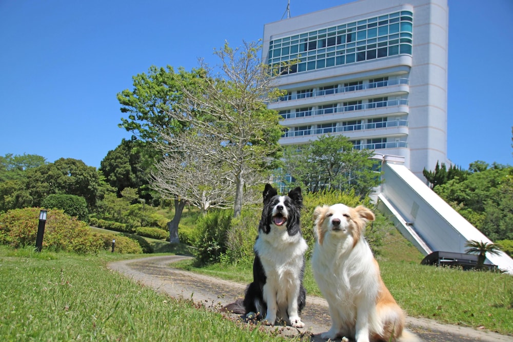 南紀白浜わんわんパラダイス 南紀白浜