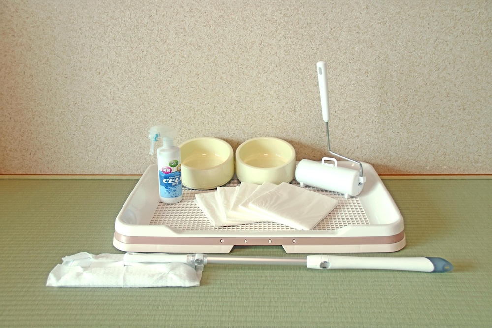 南紀白浜わんわんパラダイス 南紀白浜