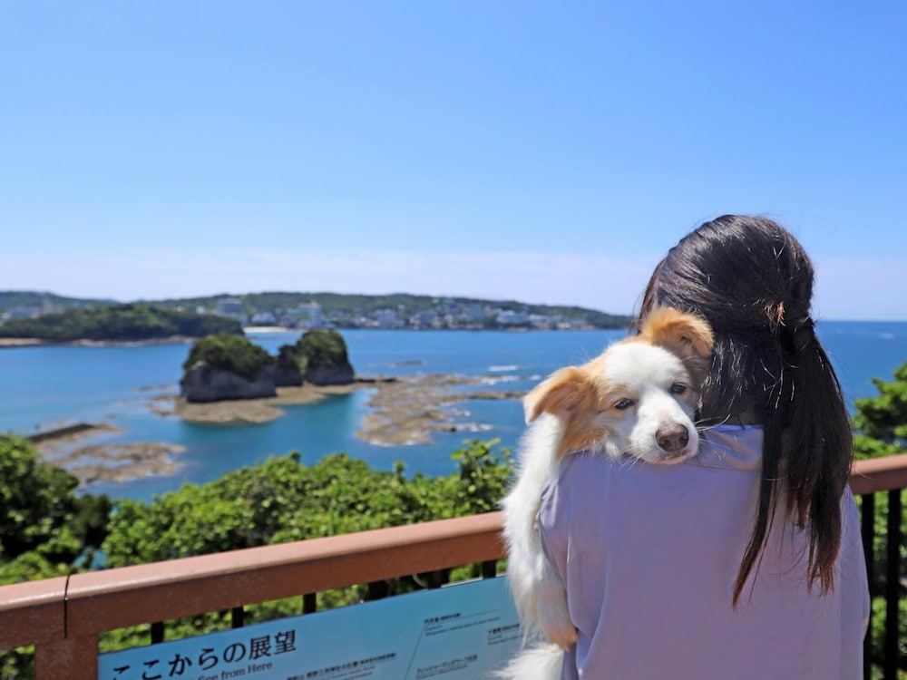 南紀白浜わんわんパラダイス 南紀白浜