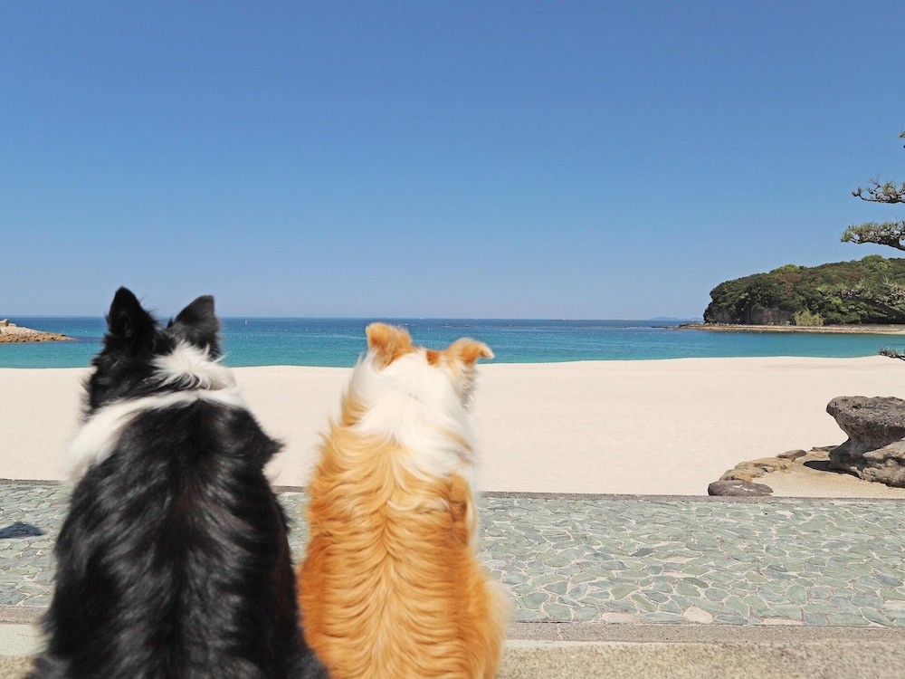 南紀白浜わんわんパラダイス 南紀白浜