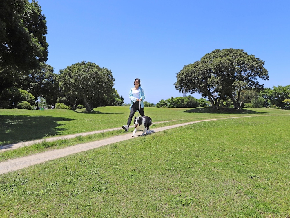 南紀白浜わんわんパラダイス 南紀白浜