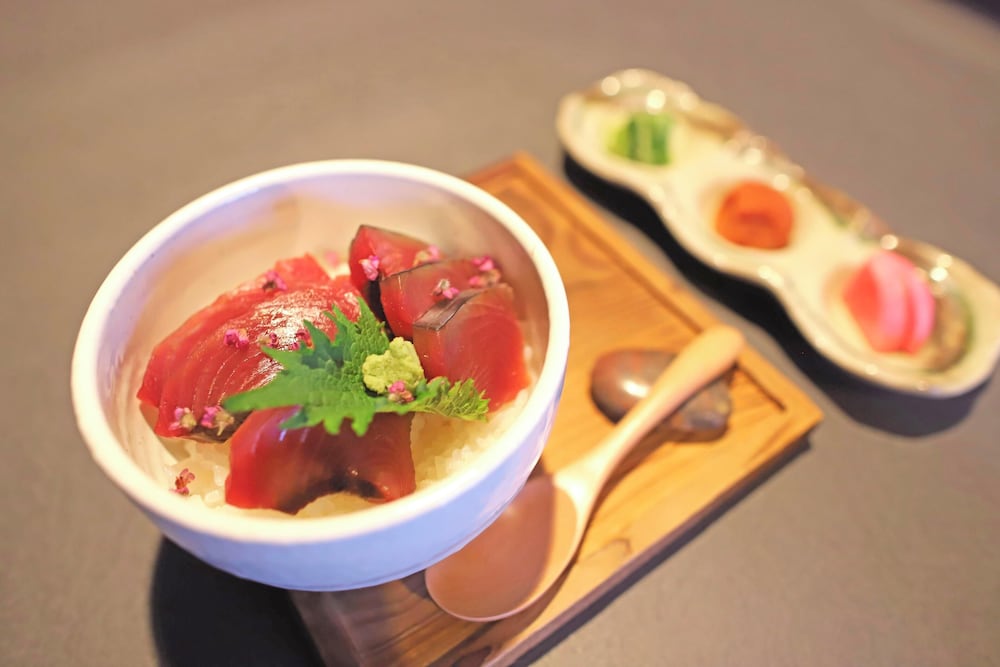 南紀白浜わんわんパラダイス 南紀白浜