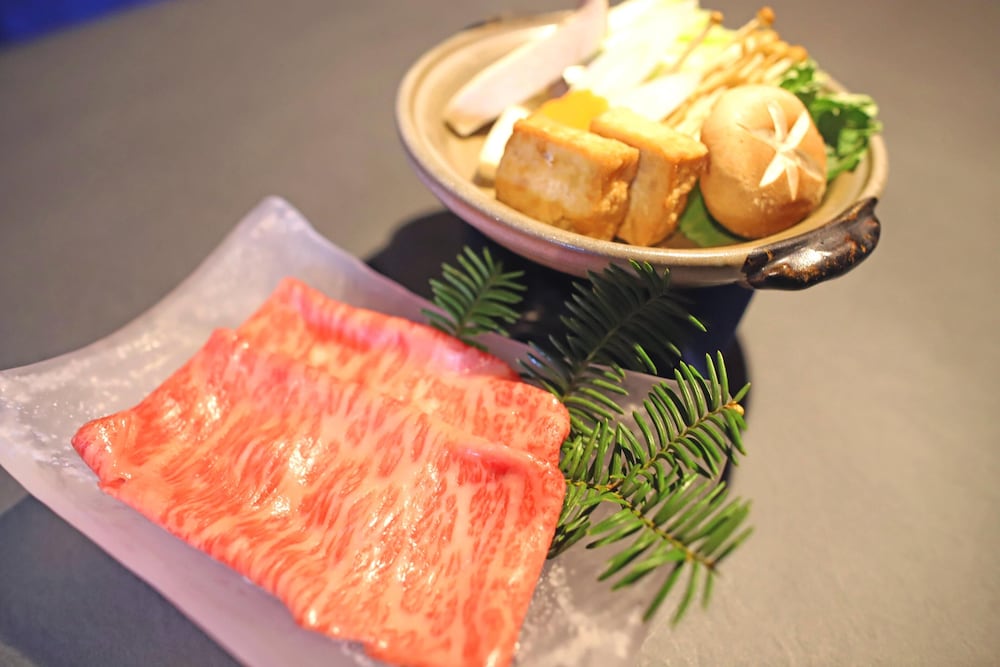 南紀白浜わんわんパラダイス 南紀白浜