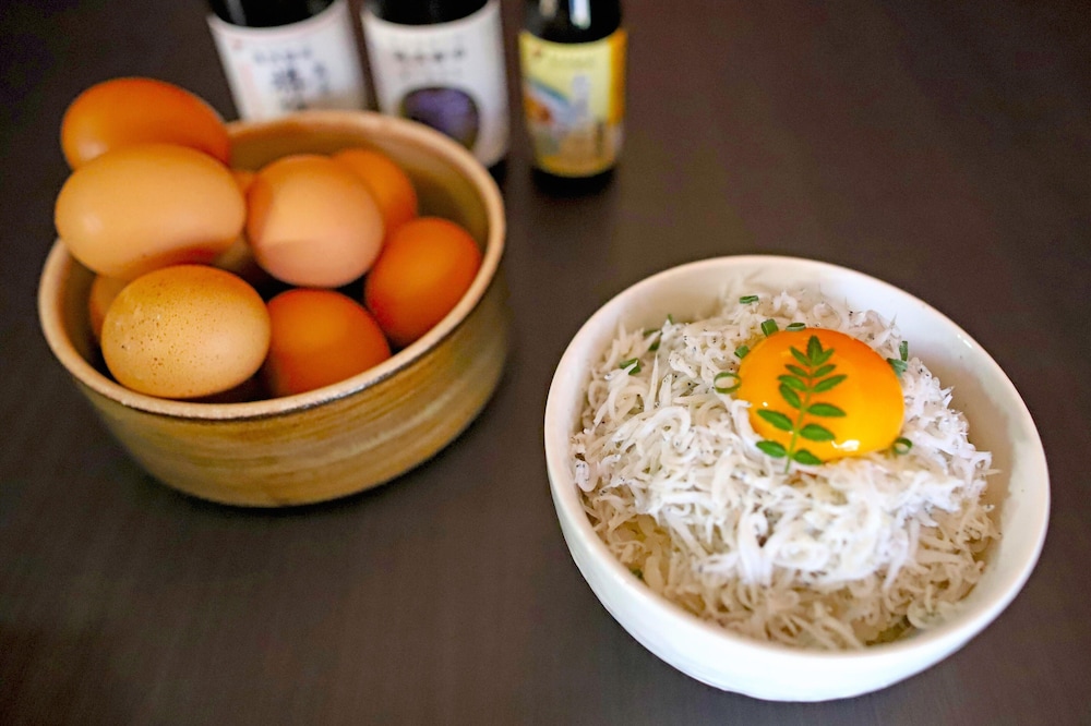 南紀白浜わんわんパラダイス 南紀白浜