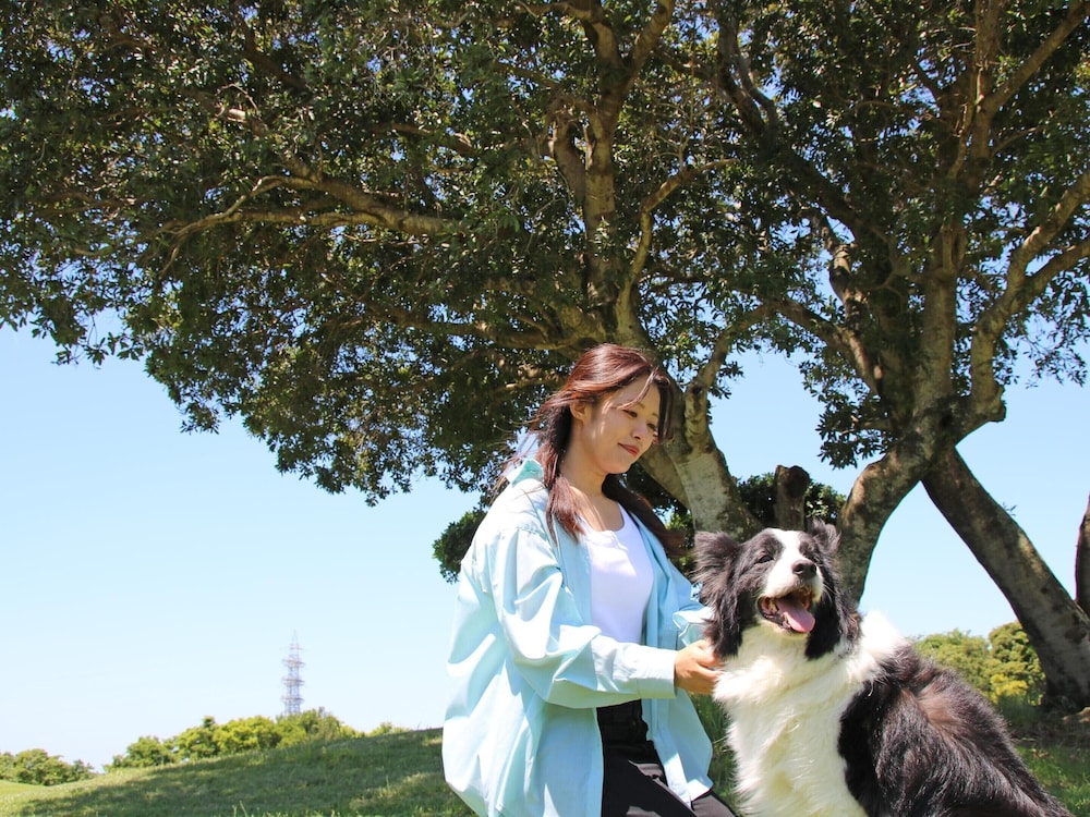 南紀白浜わんわんパラダイス 南紀白浜