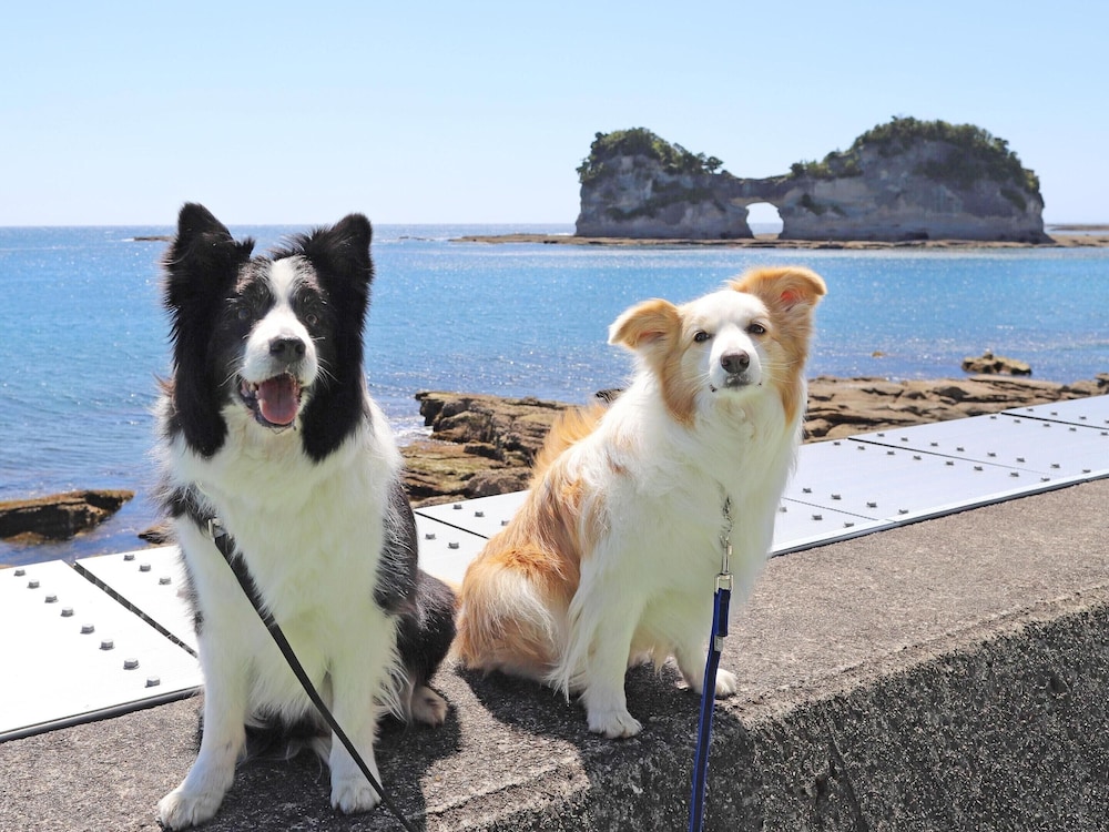 南紀白浜わんわんパラダイス 南紀白浜