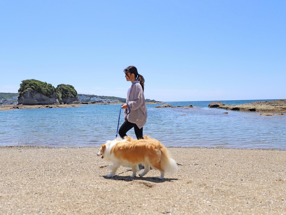 南紀白浜わんわんパラダイス 南紀白浜