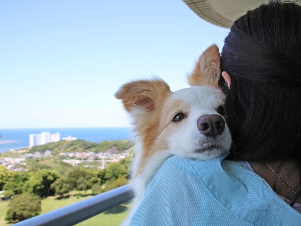 南紀白浜わんわんパラダイス 南紀白浜