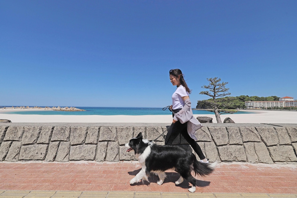 南紀白浜わんわんパラダイス 南紀白浜