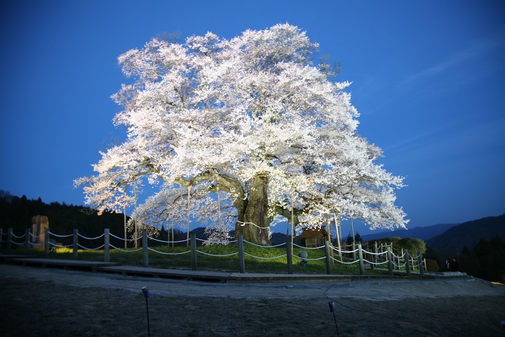 ゆばらの宿 米屋 岡山