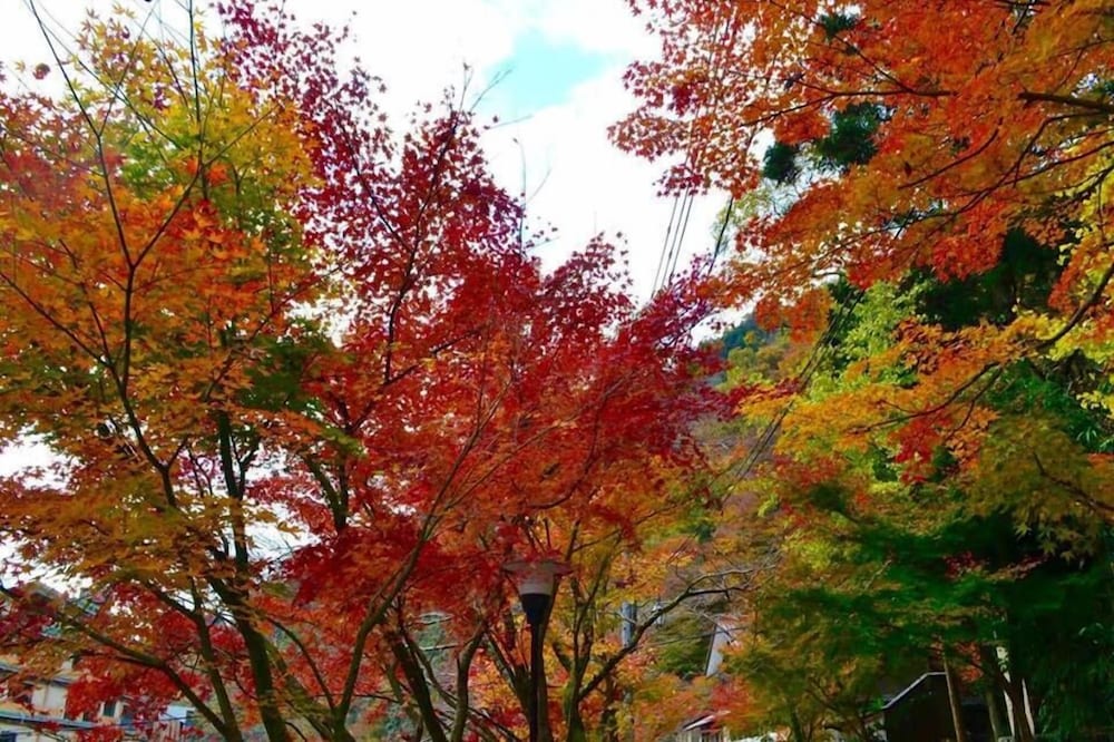 ゆばらの宿 米屋 岡山