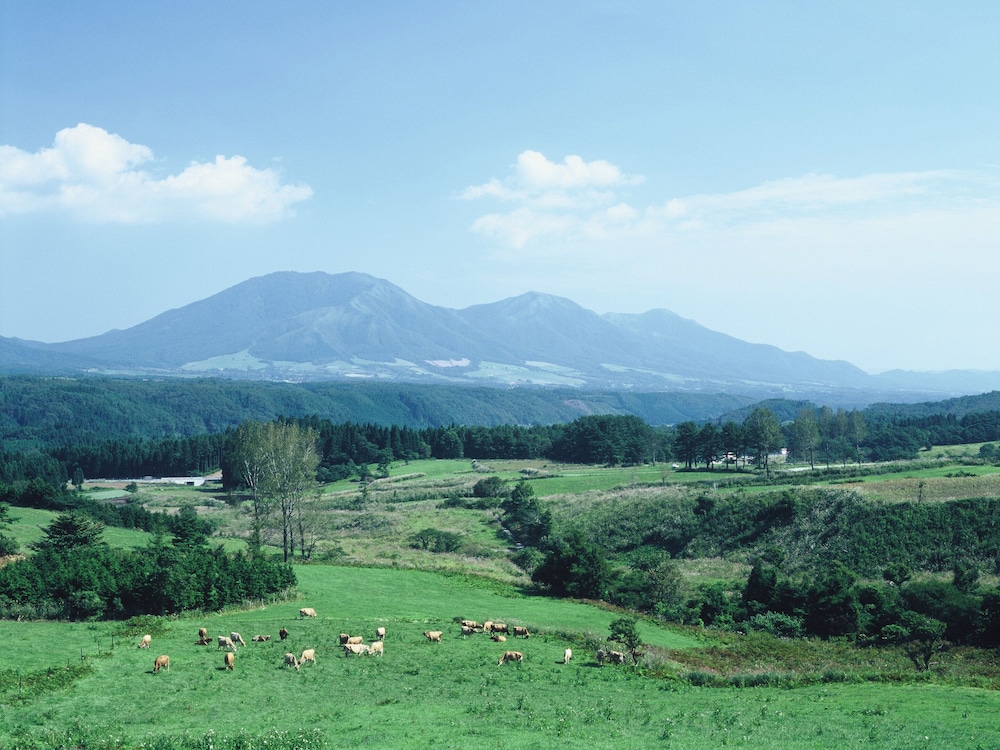 大江戸温泉物語 輝乃湯 岡山