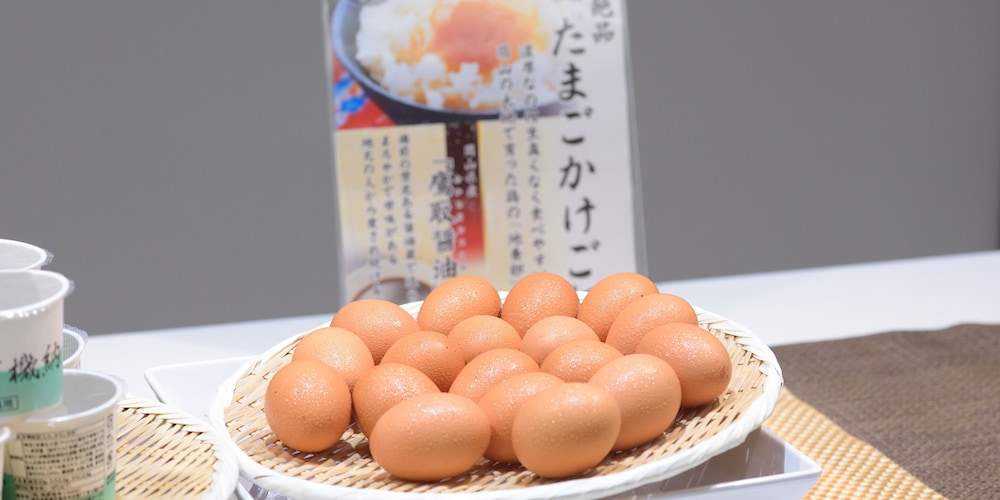 ホテルアベストグランデ岡山 岡山