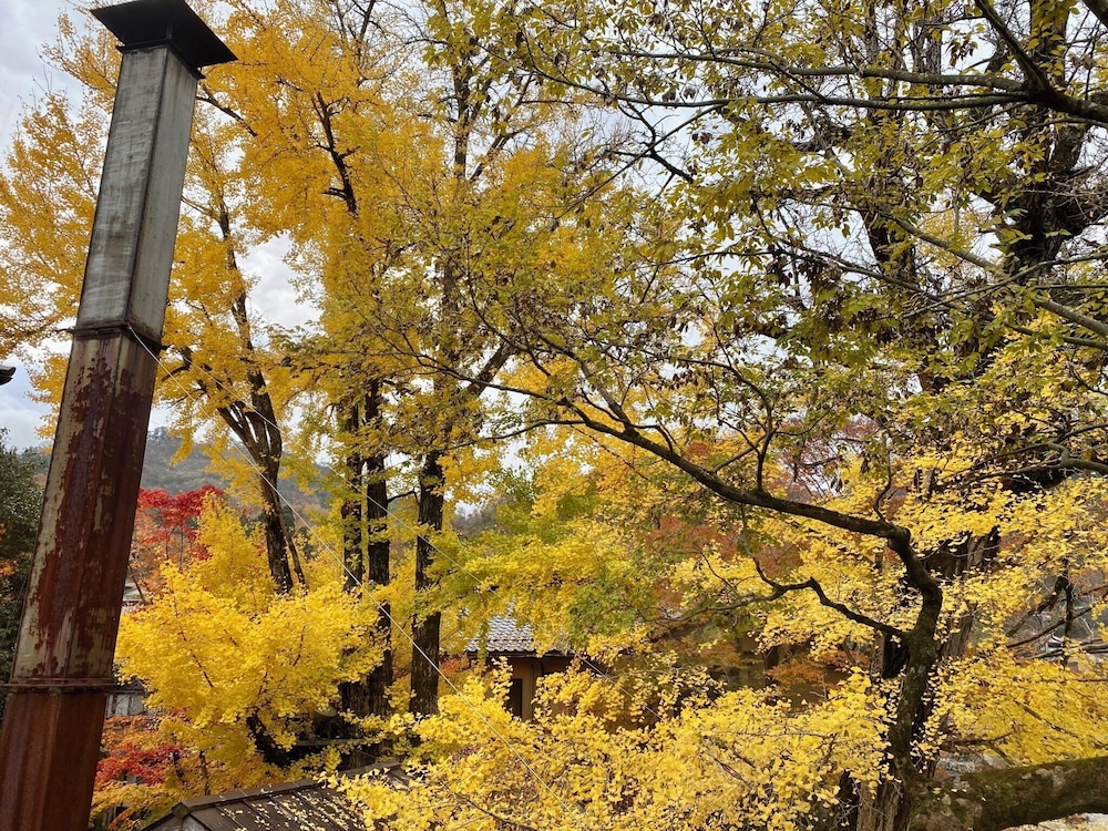 奥津温泉リゾート 米屋倶楽部 岡山