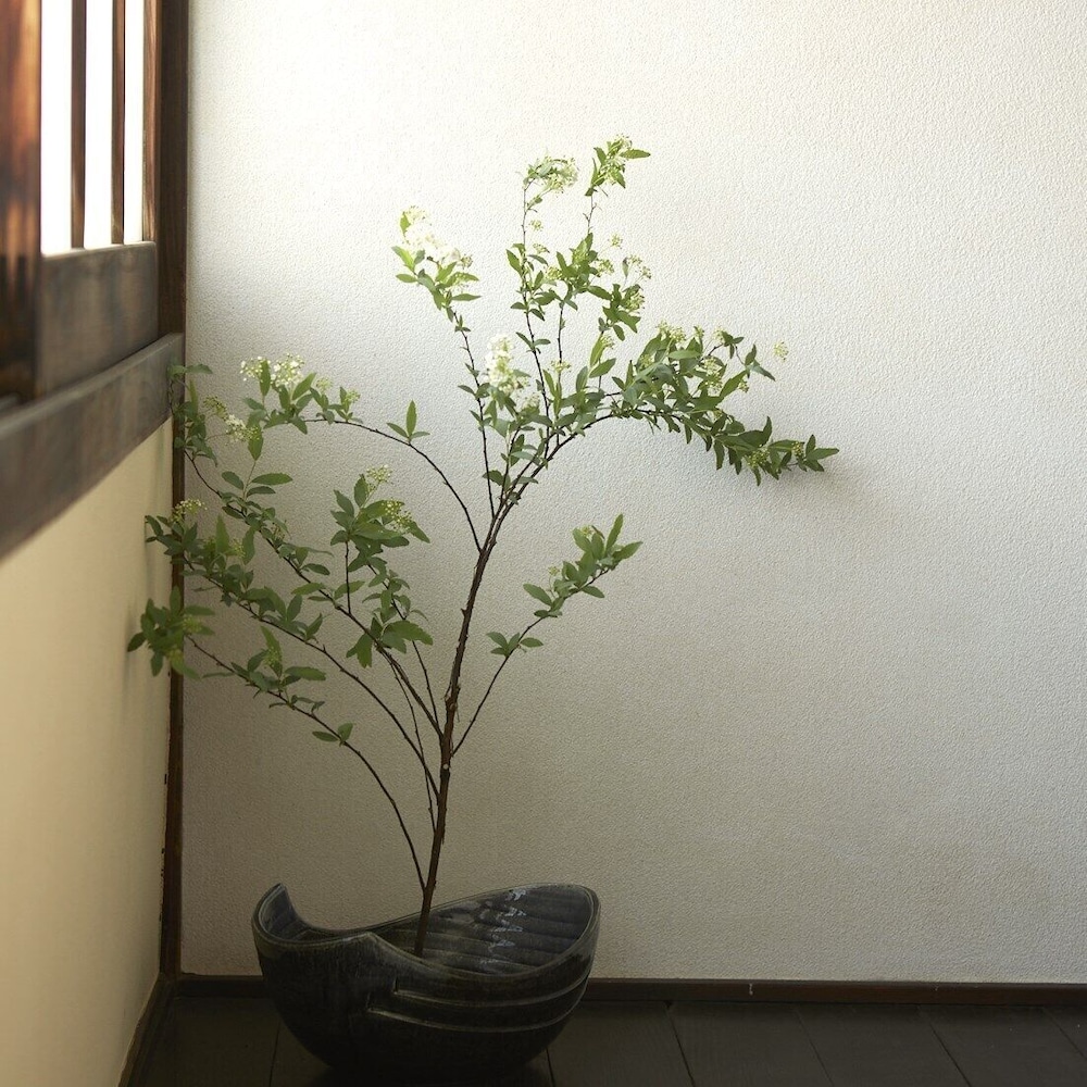 紬屋旅館 岡山