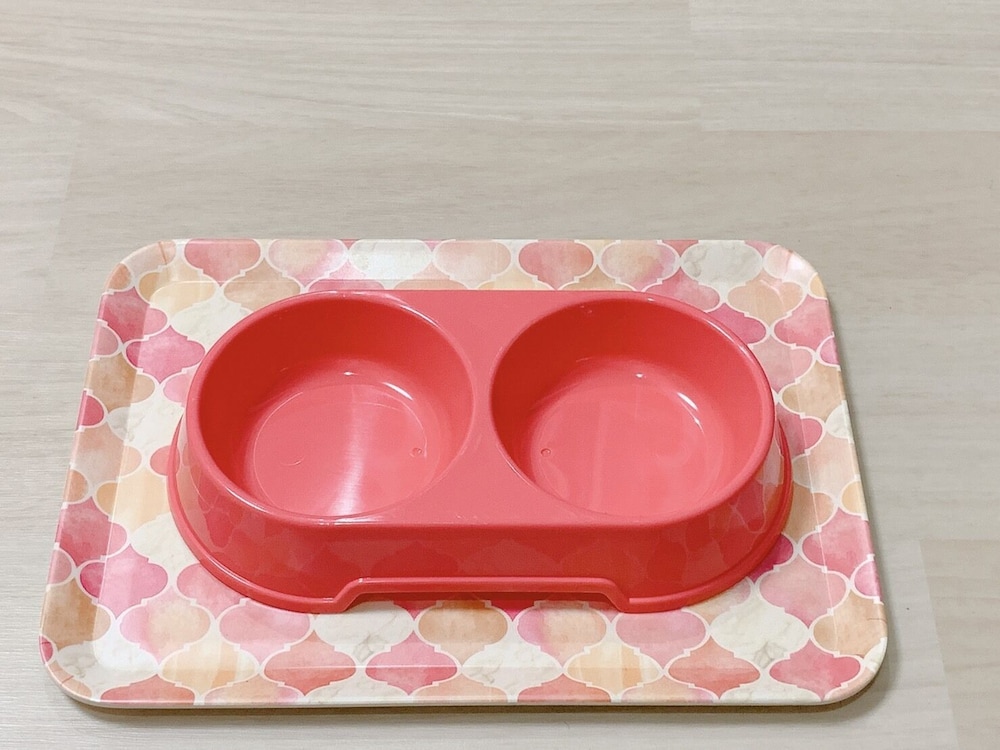 レガリアイン 岡山