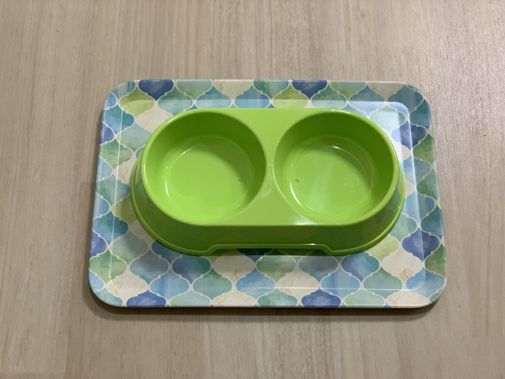 レガリアイン 岡山