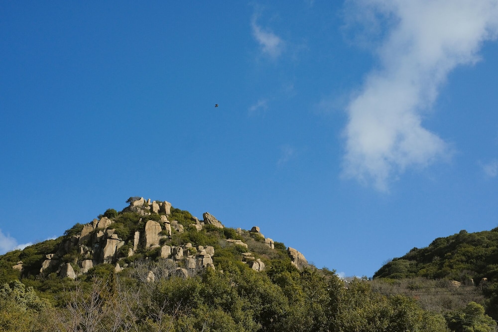 DENIM HOSTEL FLOAT 岡山