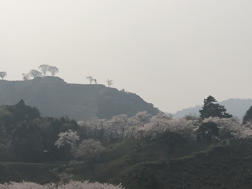 さぎの湯温泉 竹葉 (足立美術館横の宿) 出雲