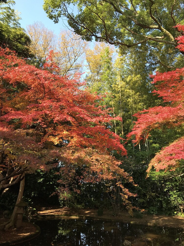 ホテル武志山荘 出雲