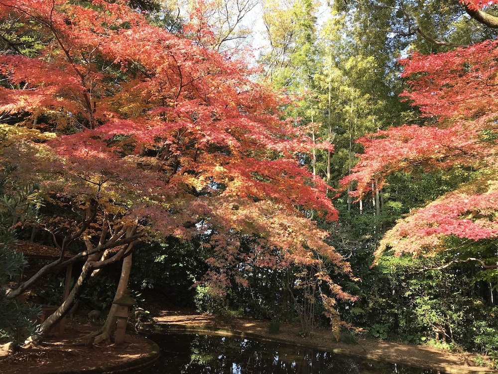 ホテル武志山荘 出雲
