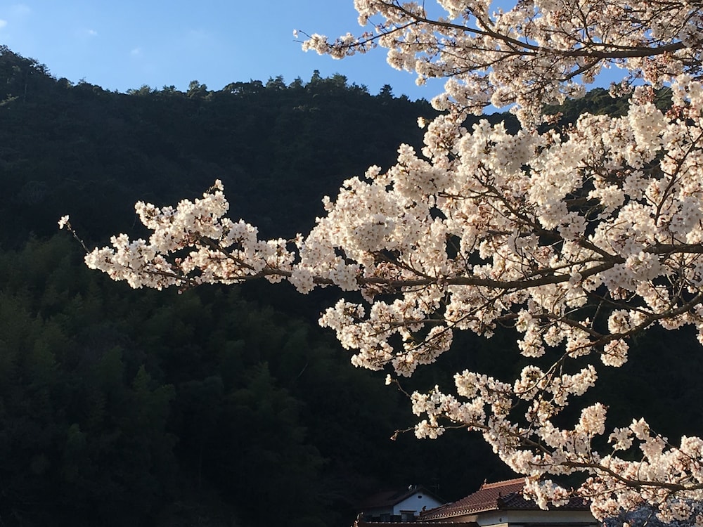 食堂民宿　さと山 出雲