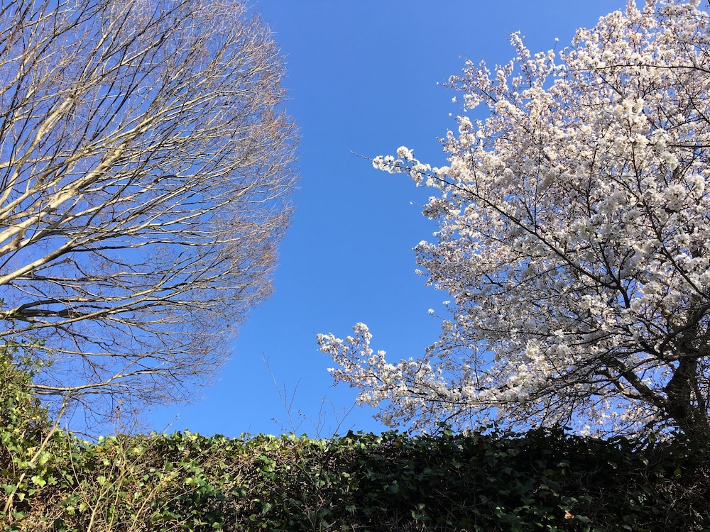 食堂民宿　さと山 出雲