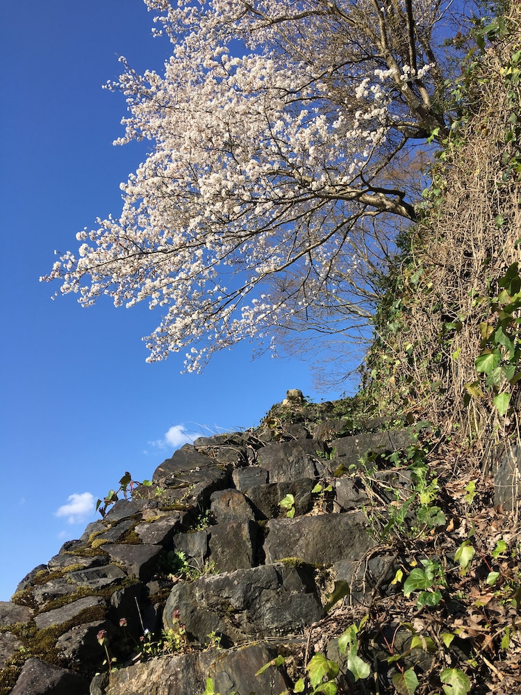 食堂民宿　さと山 出雲