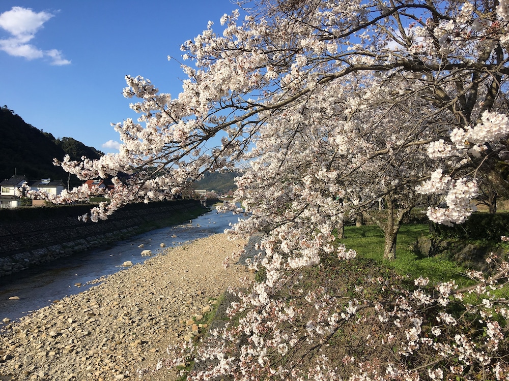 食堂民宿　さと山 出雲