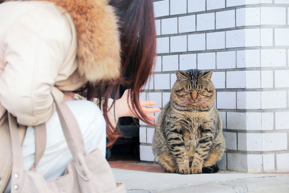 ヴィラ いづもや 出雲