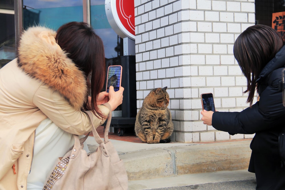 ヴィラ いづもや 出雲
