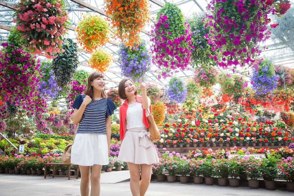 夕景湖畔 すいてんかく 出雲