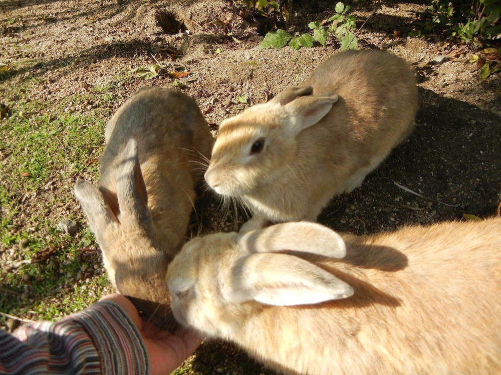 すみや スパ & ホテル 広島