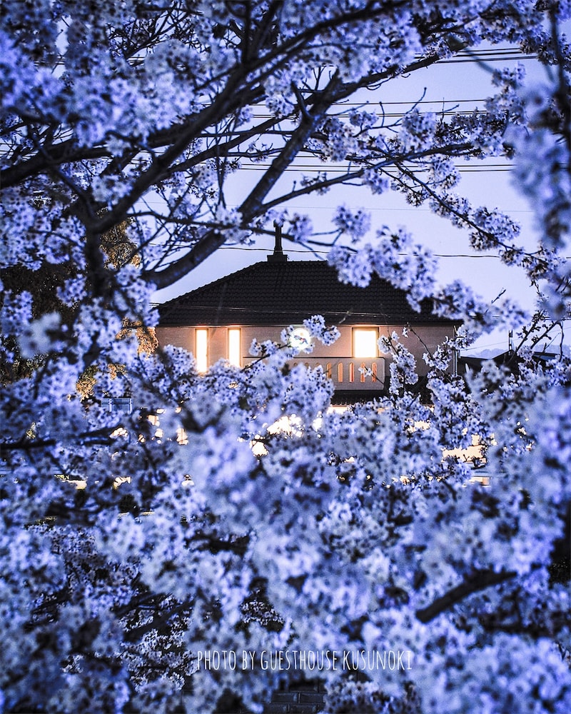 ゲストハウス くすの木 広島