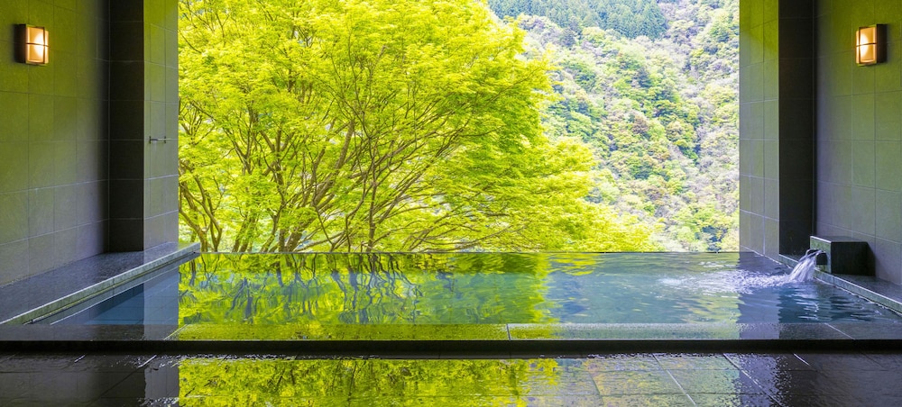 ホテル祖谷温泉 徳島