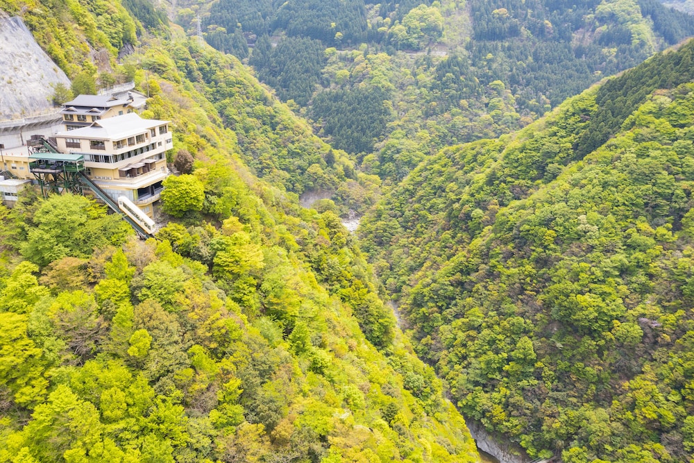 ホテル祖谷温泉 徳島